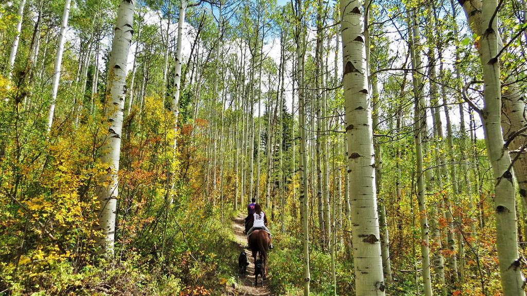 Teton Hostel Hideaway Дриггс Экстерьер фото