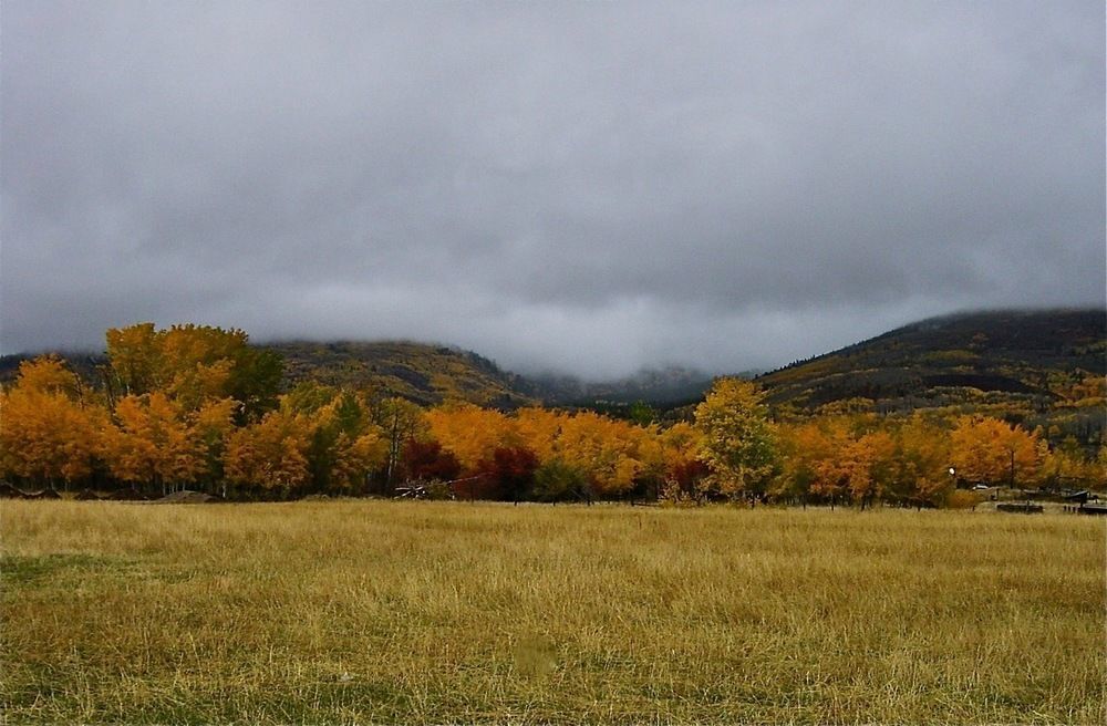 Teton Hostel Hideaway Дриггс Экстерьер фото